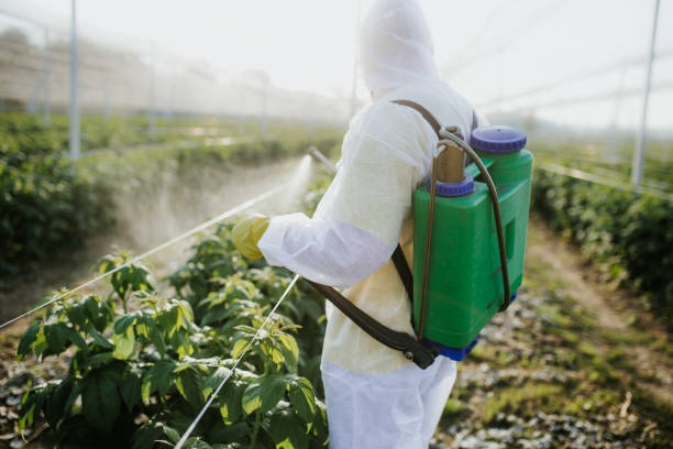 Best Flea Control Services  in Mountain Lakes, NJ